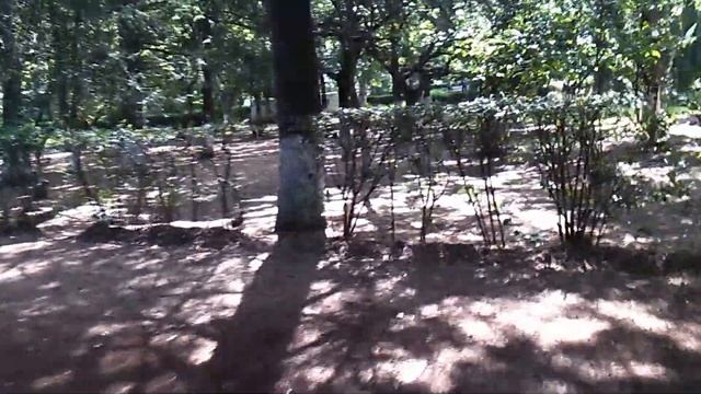 Красный парк в Тбилиси смотреть онлайн