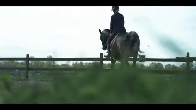Конный спорт •| Salt |•