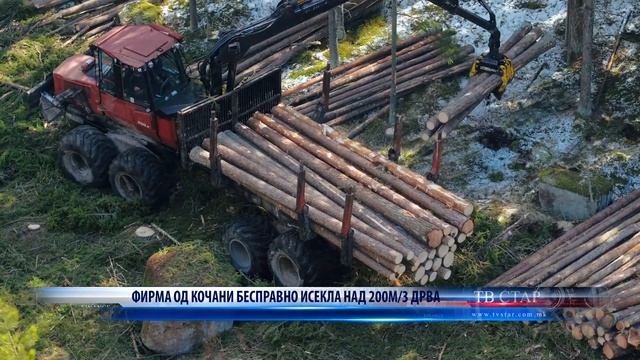 ФИРМА ОД КОЧАНИ БЕСПРАВНО ИСЕКЛА НАД 200М 3 ДРВА 10 02 2023 смотреть онлайн