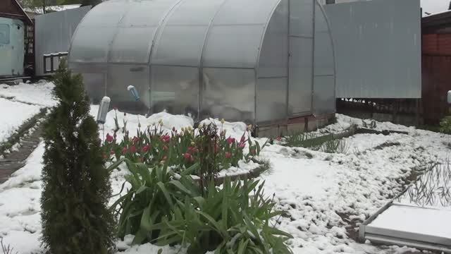 "Новый год" на Майские// Шашлыкам погода не помеха смотреть онлайн