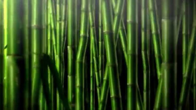 Расслабляющая медитативная музыка для сна, расслабления и медитации слушать