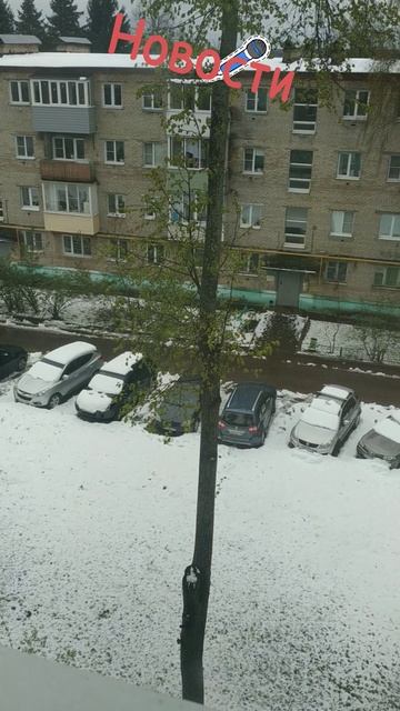 Новости циклон смотреть онлайн