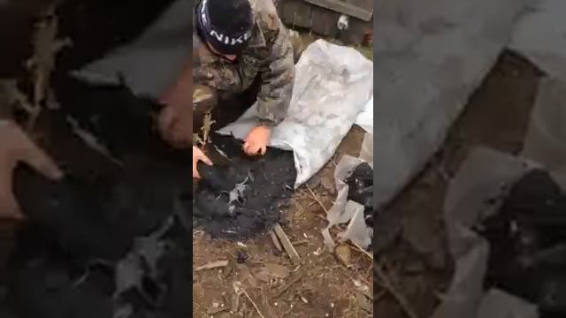 Прикол. Случай на рыбалке. смотреть онлайн