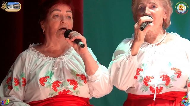 «Ой у поли стоить верба», исп. народный самодеятельный коллектив «Сударушка» «День Семьи» 07.07.202 смотреть онлайн