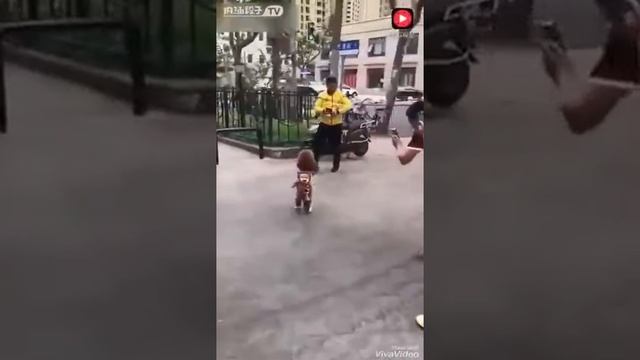 Уз прикол 2018 смотреть онлайн