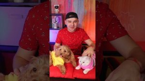 ТОП ВИДЕО С НЮШЕЙ И БЕЛКОЙ 3/ЛАЙКИ LIKE/#cat