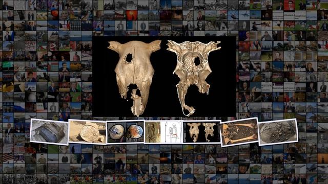 Чёрный саркофаг, корабль викингов и сыр с сюрпризом самые интересные находки археологов смотреть онлайн