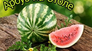 Песня про Арбуз | Группа "Арбуз на Столе"