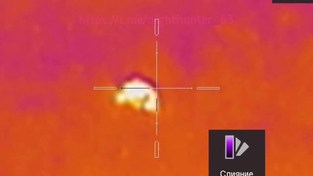 Тепловизионный прицел Arkon Alfa HT50. Заяц 53 метра. смотреть онлайн