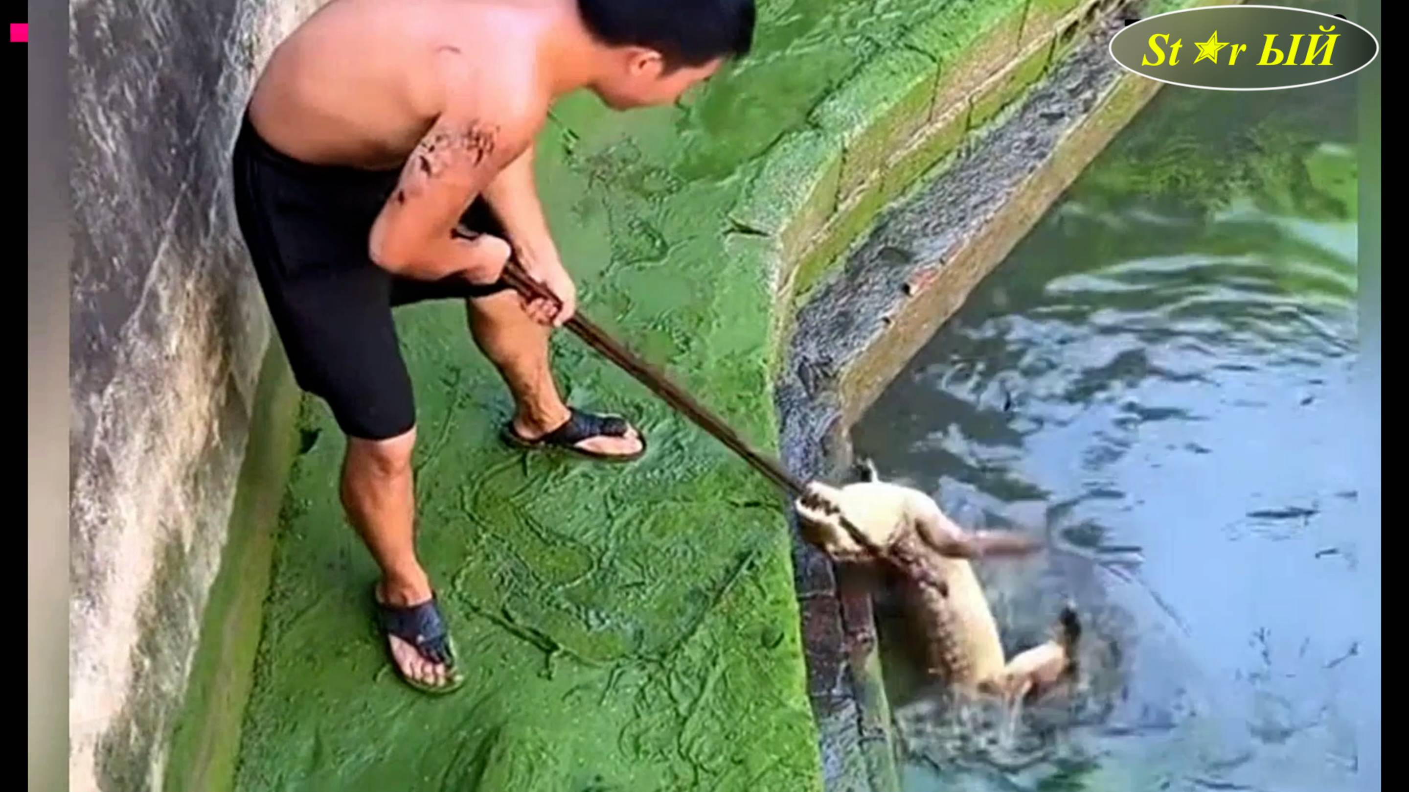 Китайские охотники за крокодилами