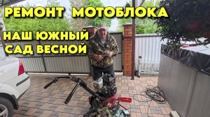 895 Реальная жизнь семьи/Интересные моменты из нашей жизни