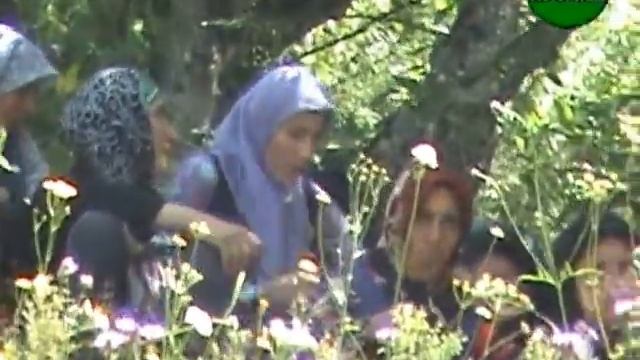 Проповедь в маджлисе сБетелда смотреть онлайн