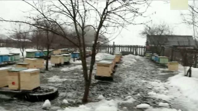 Зима вернулась Пасека в апреле смотреть онлайн