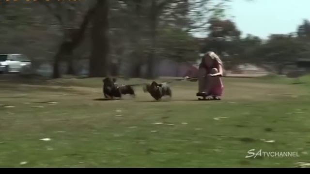 САМЫЕ СВЕЖИЕ ПРИКОЛЫ 2016 ЯНВАРЬ! Best joke 2016 #82 смотреть онлайн