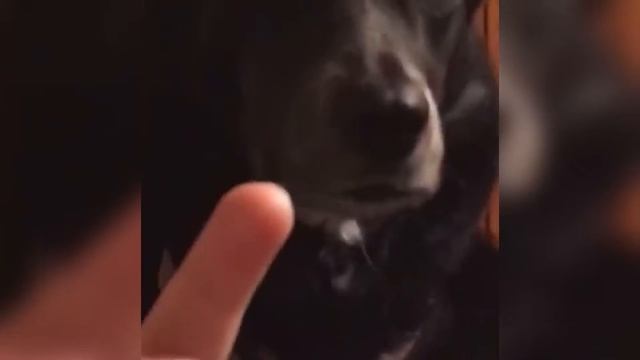 ЛУЧШЕ ВИДЕО ПРИКОЛЫ! ЛУЧШИЕ ПРИКОЛЫ АПРЕЛЬ 2021! #23 смотреть онлайн