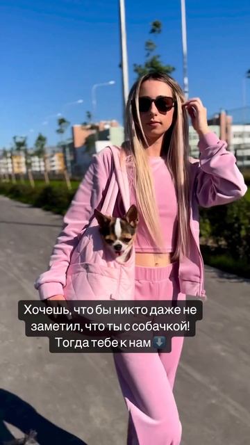 Ведь наши сумочки абсолютно не похожи на классические, некрасивые переноски для собак 🐩💗 смотреть онлайн