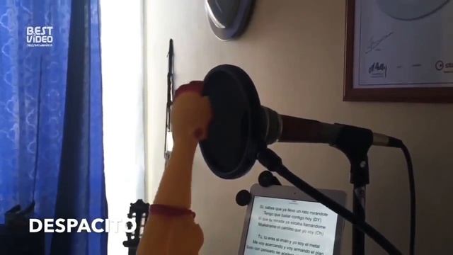 поющая курица смотреть онлайн