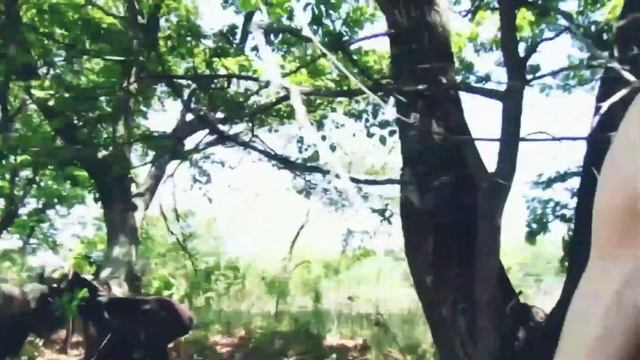 Знакомство с телочками 😁