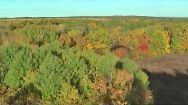 Осень золотая... Полёты на паралёте Скат