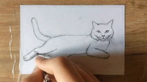 How to draw a cat/ Как нарисовать кота