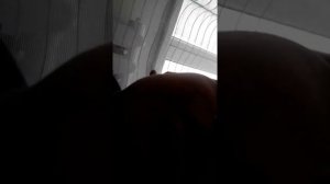 Как выбраться из скотча