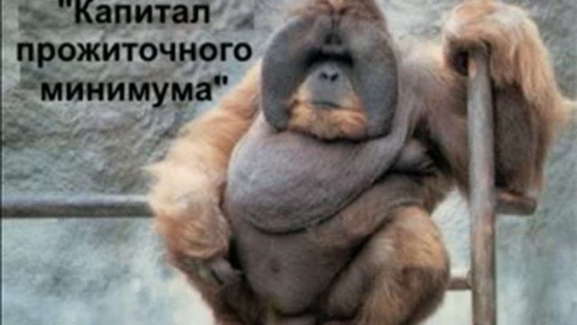 Михал Палыч смотреть онлайн