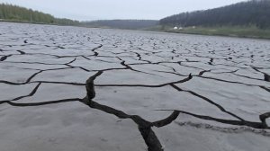 Находки из растрескавшегося дна осушенного озера.