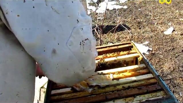 Осмотр отводка после зимовки смотреть онлайн