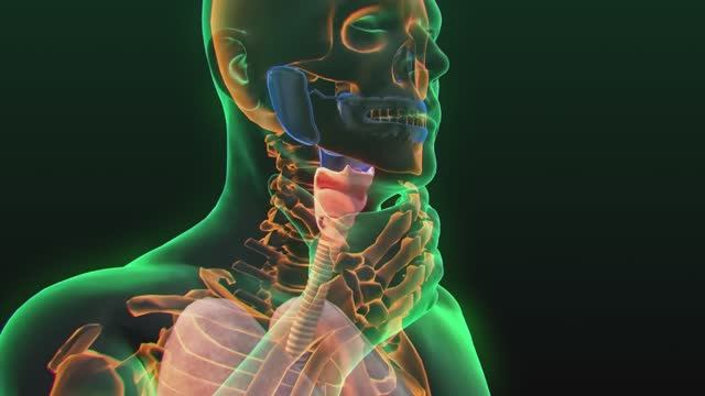 Это убивает вашу щитовидку. Не допускайте эти ошибки… смотреть онлайн