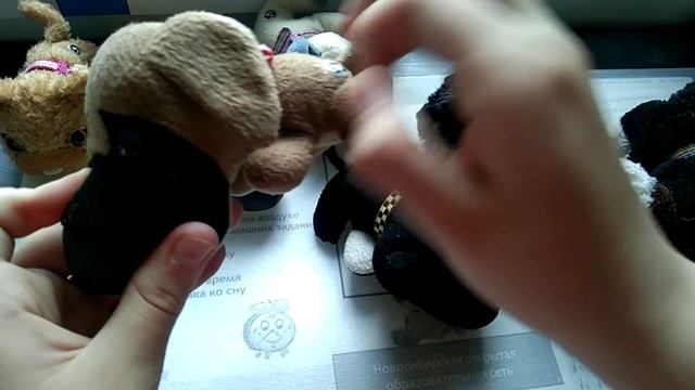 Распаковка the cat/dog collection смотреть онлайн