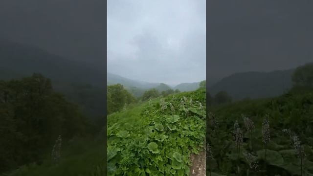 Поход в горы, на Муши дукх.