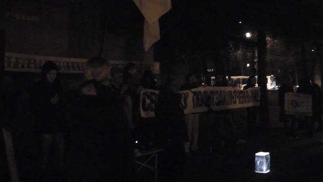 31.10.2011 г Стратегия-31 Елена Санникова