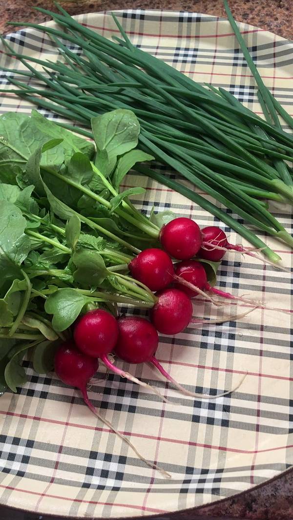 ПЕРВЫЙ УРОЖАЙ РЕДИСКИ. Весенний салатик. смотреть онлайн