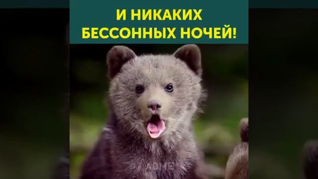 Видео прикол what’s app смотреть онлайн