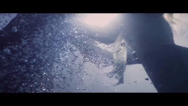 Poul Martyn - СКАЖИ