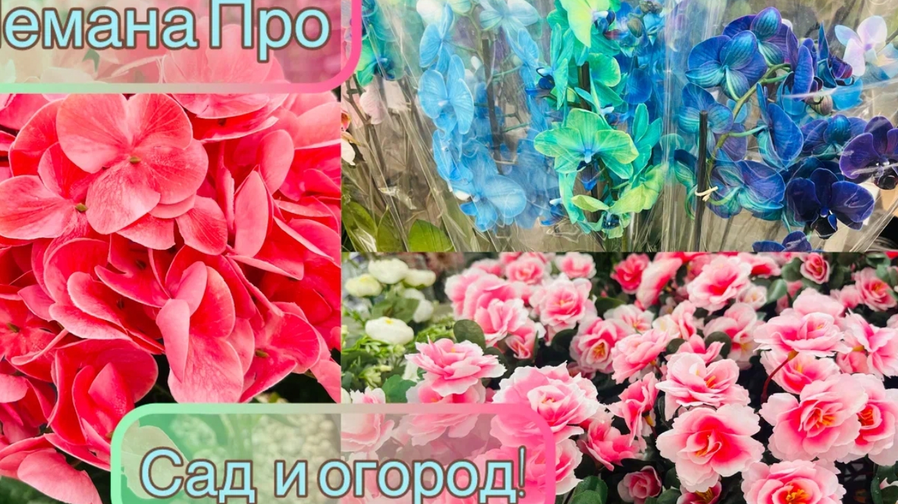 💖 В ЛЕМАНА ПРО ЦВЕТЫ 💐 САДОВАЯ МЕБЕЛЬ 🛋 и не только💕💞 смотреть онлайн