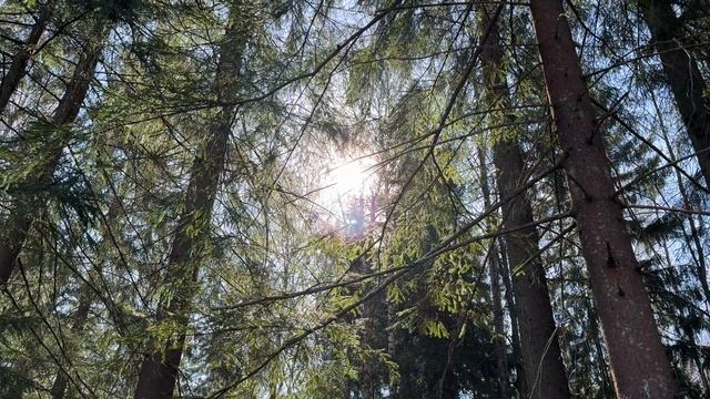 Живая открытка №51. Смотри и отдыхай.