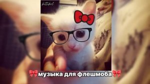 🎀музыка для флешмоба🎀 | 16 минут🕊