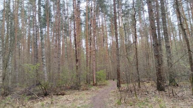 Интересный был этот день! смотреть онлайн