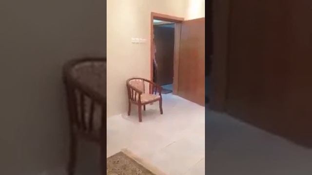 Прикол смотрите до конца смотреть онлайн