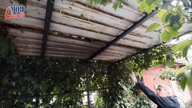 Коптим рыбу с РОДИТЕЛЯМИ на ДАЧЕ//Муравьи в теплице//Семейный влог//моя семья//семейный канал//VLOG смотреть онлайн