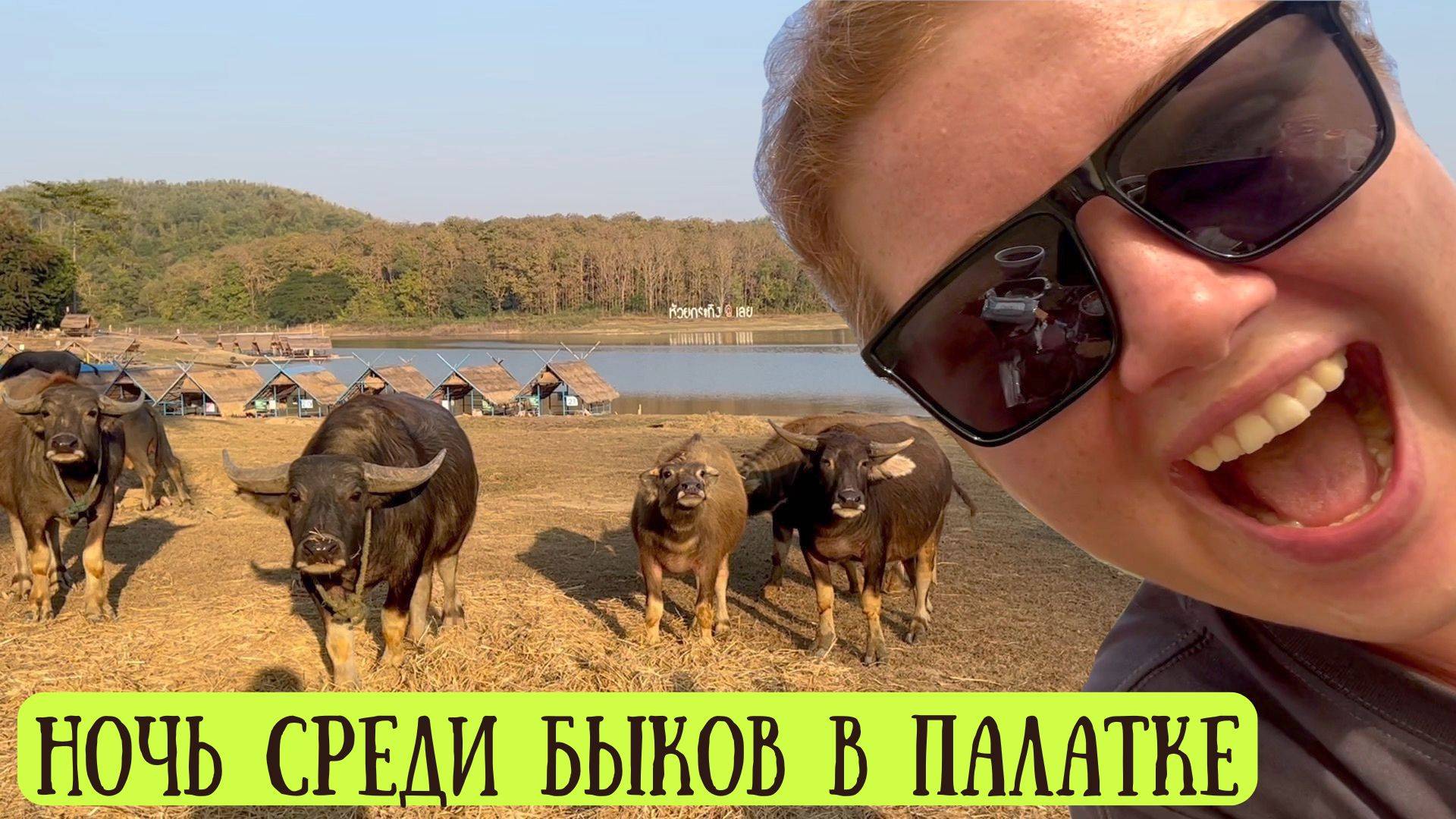 Жизнь без отелей! Кемпинг у озера в Таиланде с дикими животными 🌿 смотреть онлайн