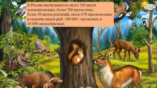 Россия, устремлённая в будущее. Урок России. Урок 1 сентября смотреть онлайн