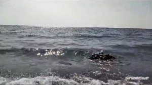 ЛЮБОВЬ В КАЖДОМ ВЗДОХЕ МОРЯ.