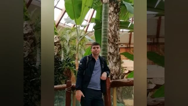 Поздравление жены и детей с Д.Р. смотреть онлайн