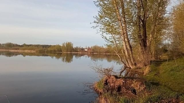 Рыбалка на небольшом озере 2 мая 2025г. смотреть онлайн