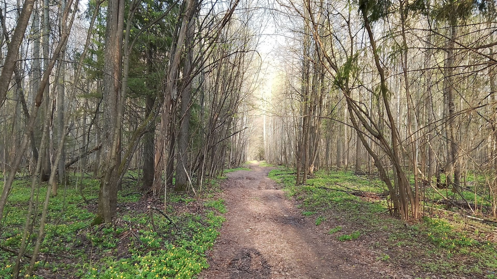 Стрим от 27 апреля 2025 смотреть онлайн