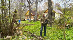 Борьба с запустением вокруг дома прадеда. Живу там, откуда ушли люди