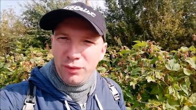 Анонс канала ТВ Фокус. Обращение к гостям и зрителям. БЛАГОДАРНОСТЬ ЗА ПОДПИСКУ. смотреть онлайн
