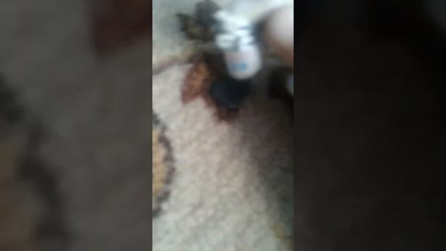 Быть или не быть 4 серия смотреть онлайн